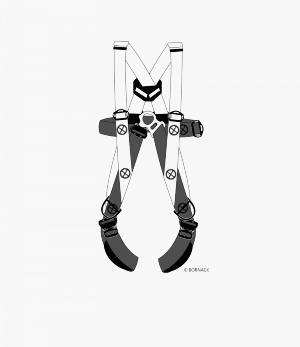 HRS01 | Gurtsystem FS3 Click Aviat